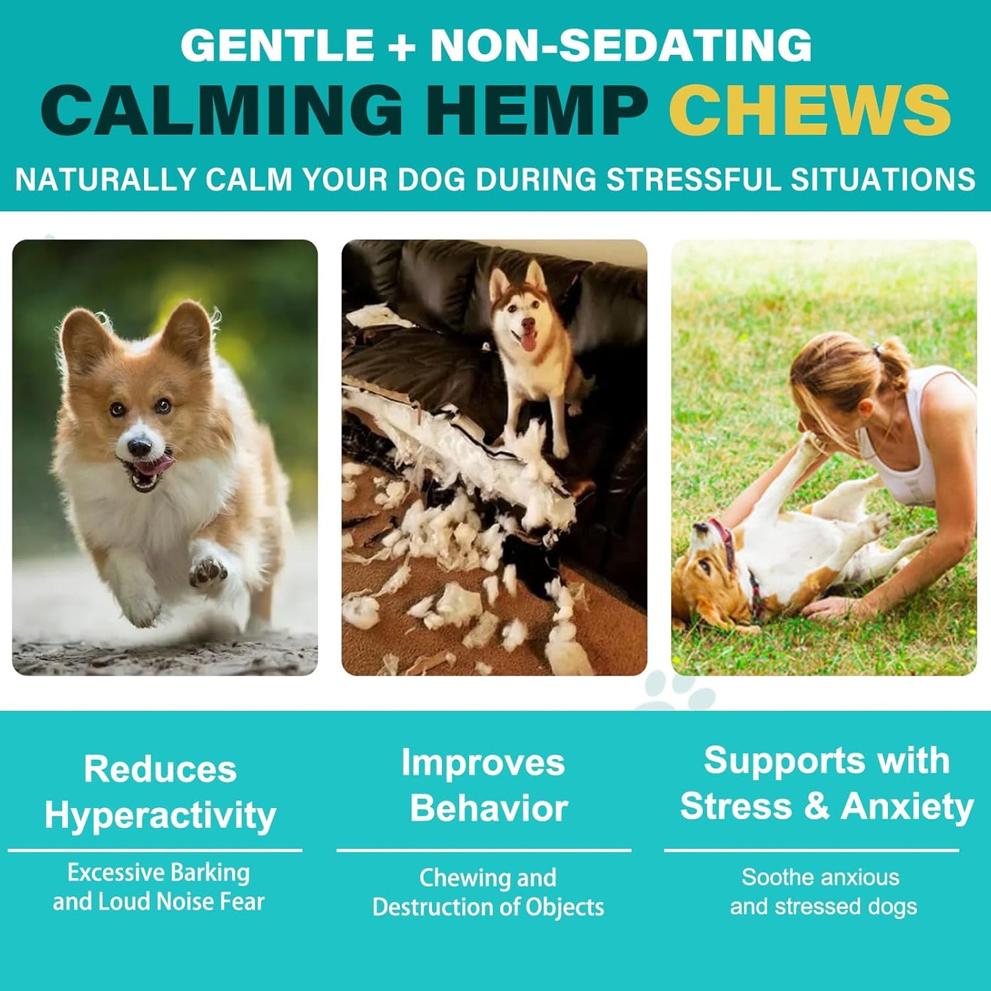 Calming Chew Für Hunde(Hähnchen Geschmack 60 Stück),Beruhigende Chews Für Haustiere,Ti Stress Snack Für Ihren Hund,Fördern Entspannung, Reduzieren Stress,Mit Natürlichen Inhaltsstoffen