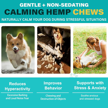Calming Chew Für Hunde(Hähnchen Geschmack 60 Stück),Beruhigende Chews Für Haustiere,Ti Stress Snack Für Ihren Hund,Fördern Entspannung, Reduzieren Stress,Mit Natürlichen Inhaltsstoffen