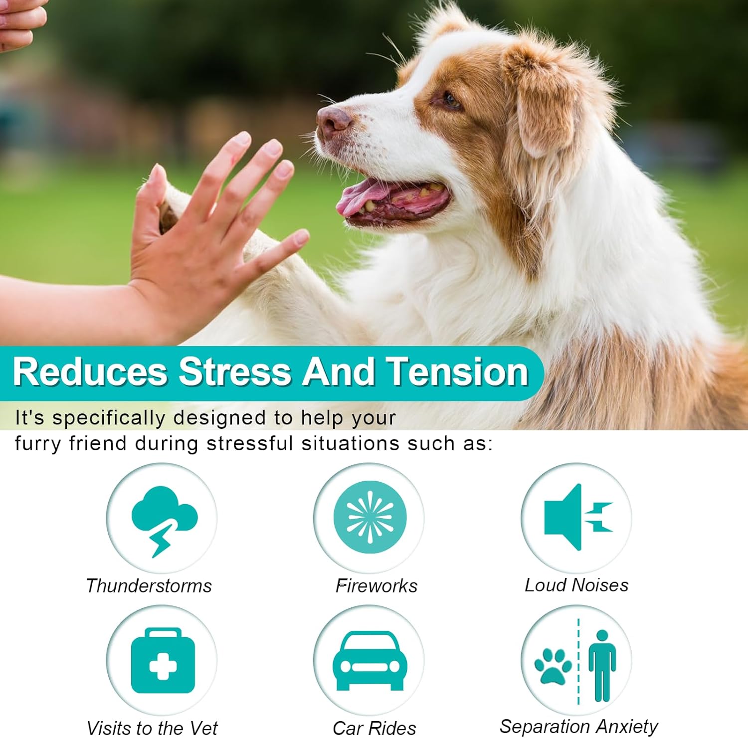 Calming Chew Für Hunde(Hähnchen Geschmack 60 Stück),Beruhigende Chews Für Haustiere,Ti Stress Snack Für Ihren Hund,Fördern Entspannung, Reduzieren Stress,Mit Natürlichen Inhaltsstoffen
