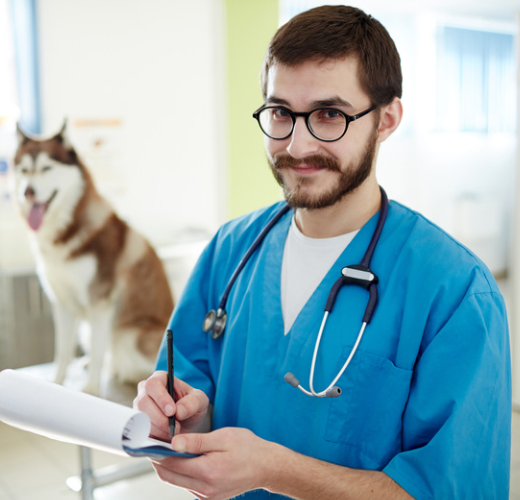 5 veterinárních konzultací na vyžádání